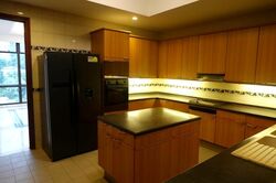 Four Seasons Park (D10), Condominium #454609981